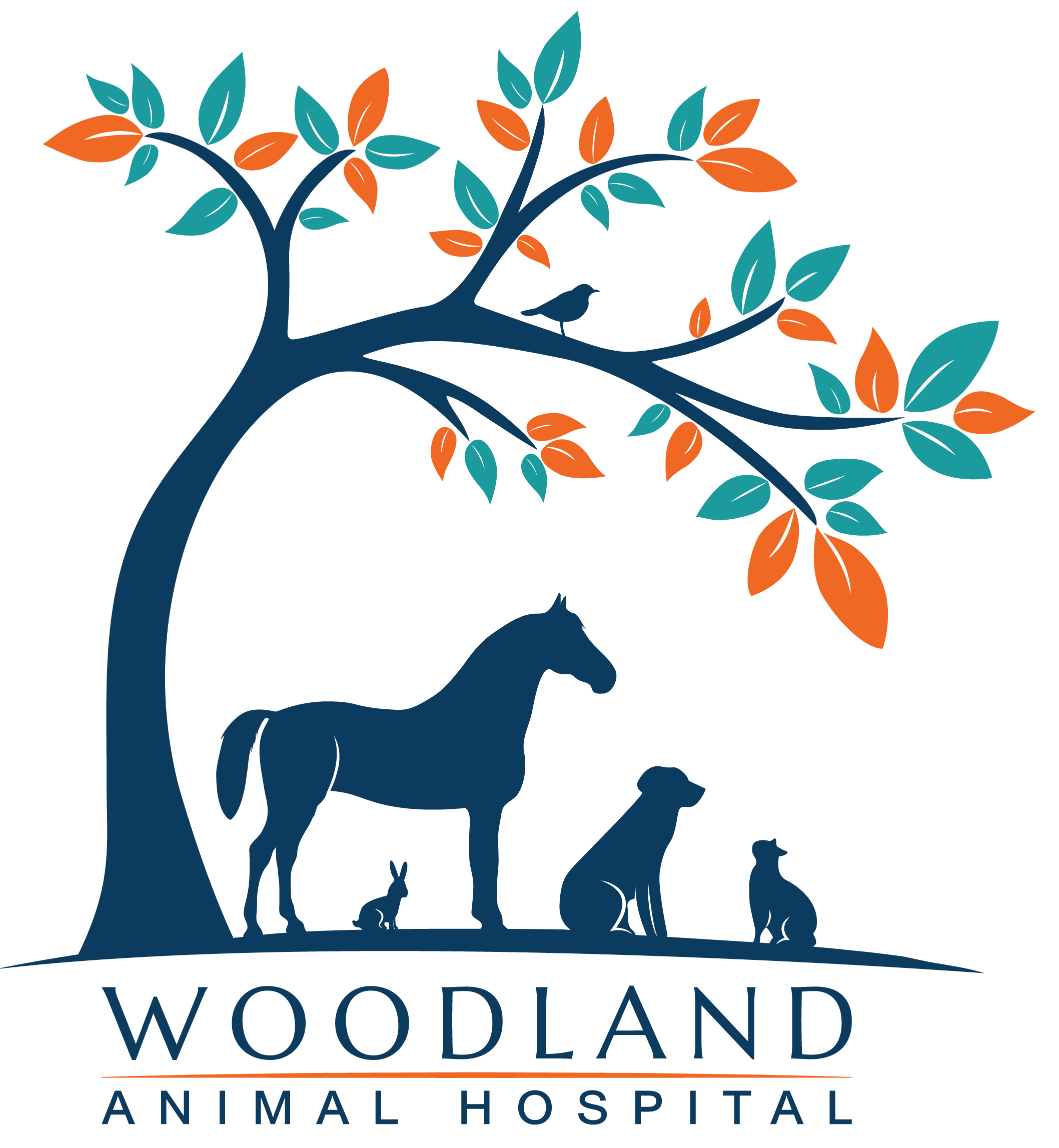 Woodland Animal Hospital