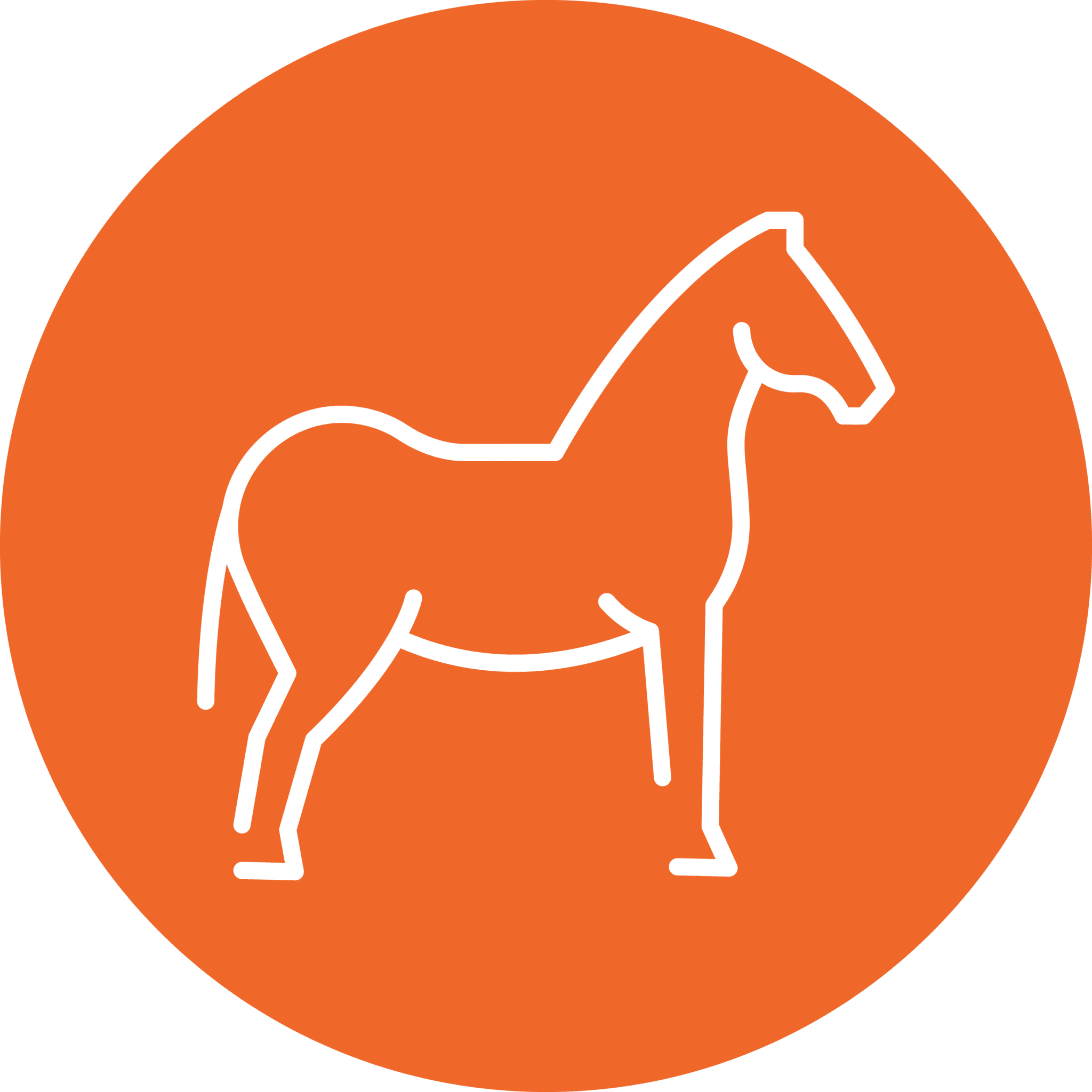 Horse Icon