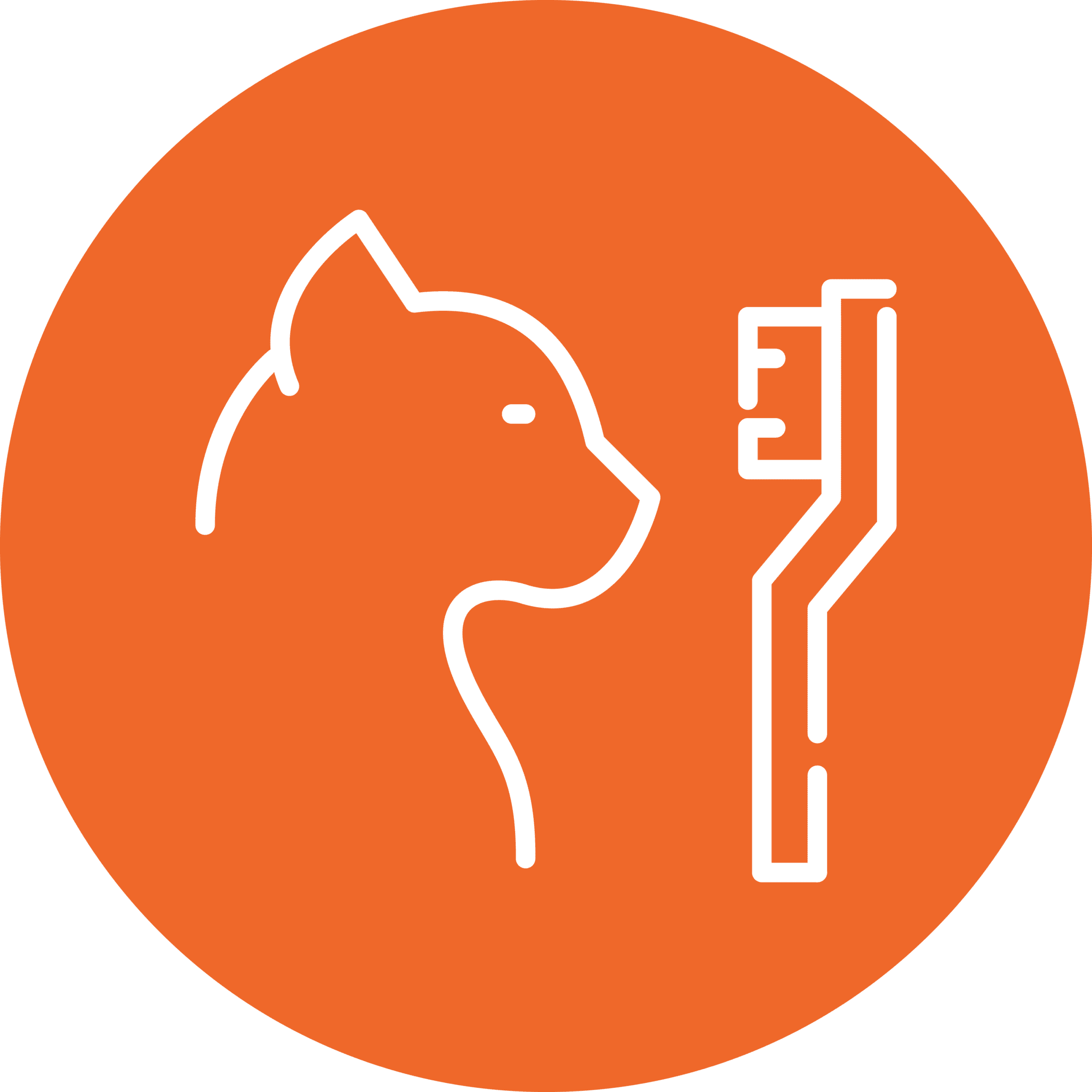 Pet Dental Icon