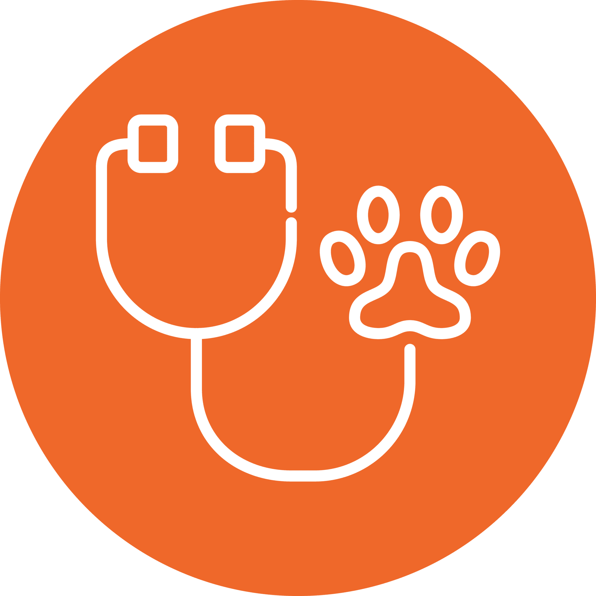 Stethoscope Icon